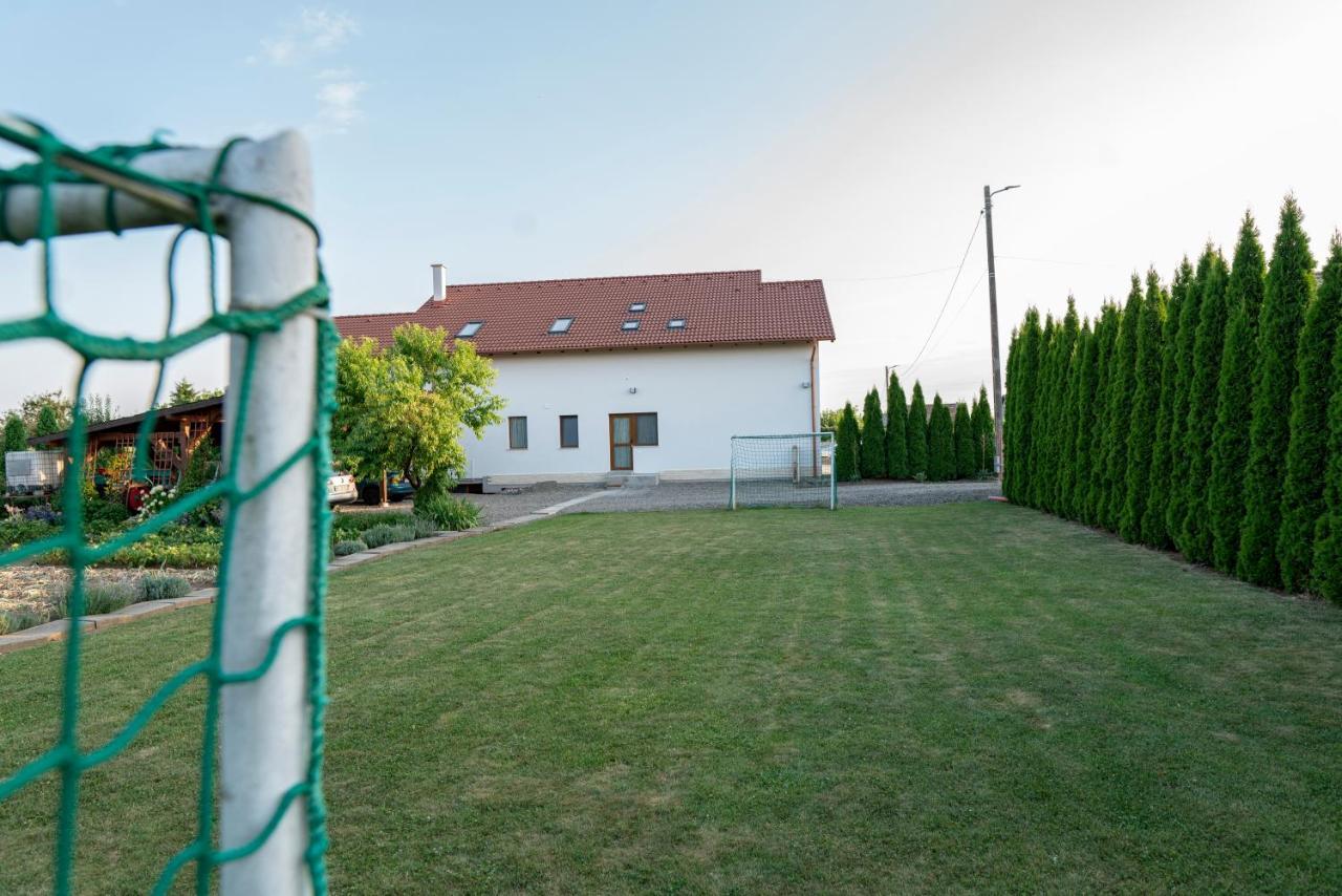 Pensiunea Gassi Sancraiu de Mures Exterior foto