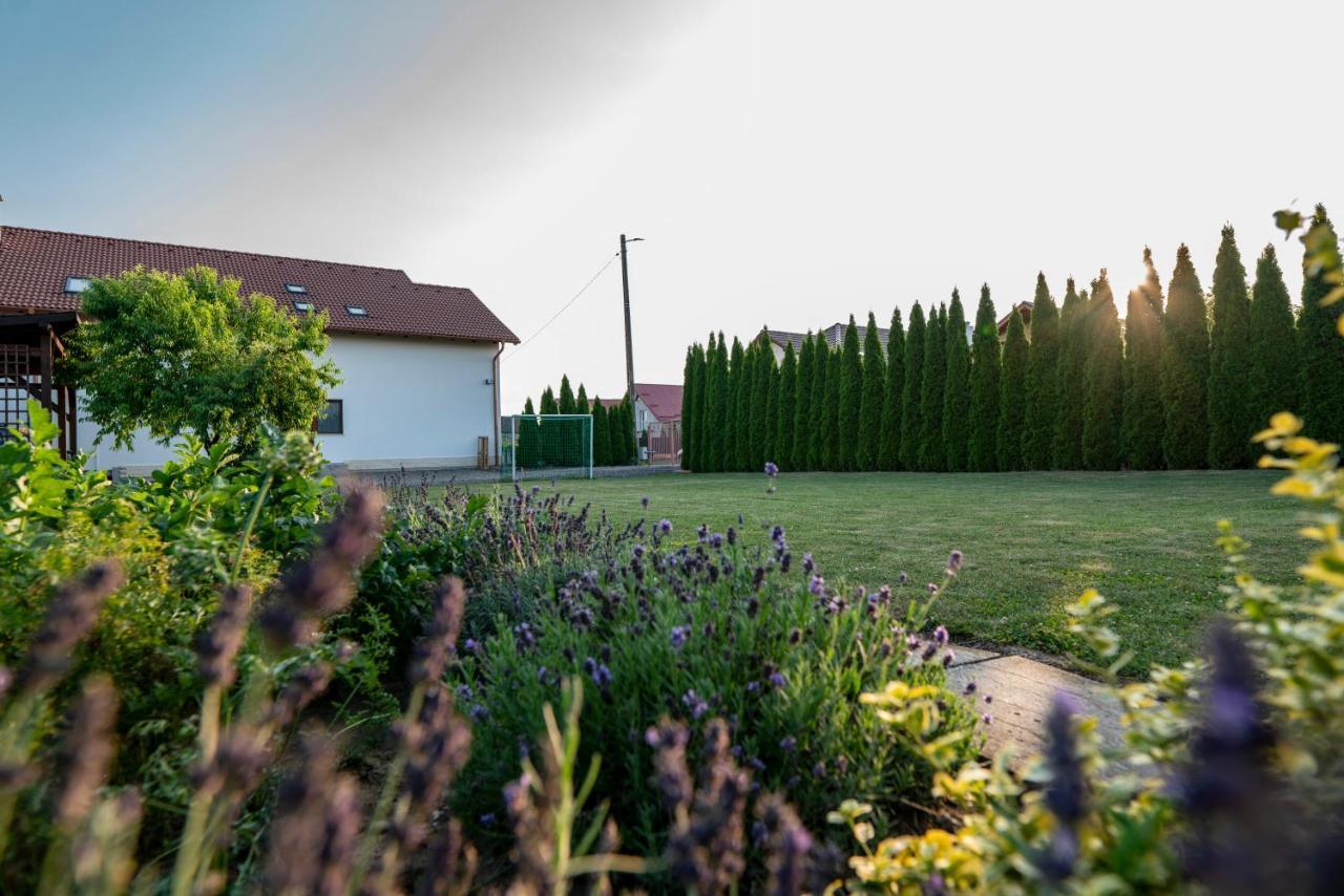 Pensiunea Gassi Sancraiu de Mures Exterior foto
