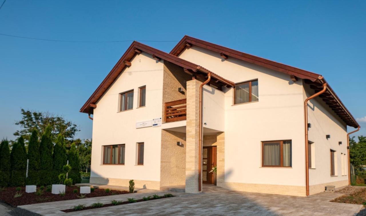 Pensiunea Gassi Sancraiu de Mures Exterior foto